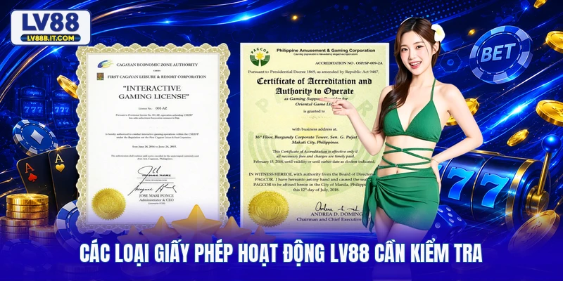  Các loại giấy phép hoạt động LV88 cần kiểm tra