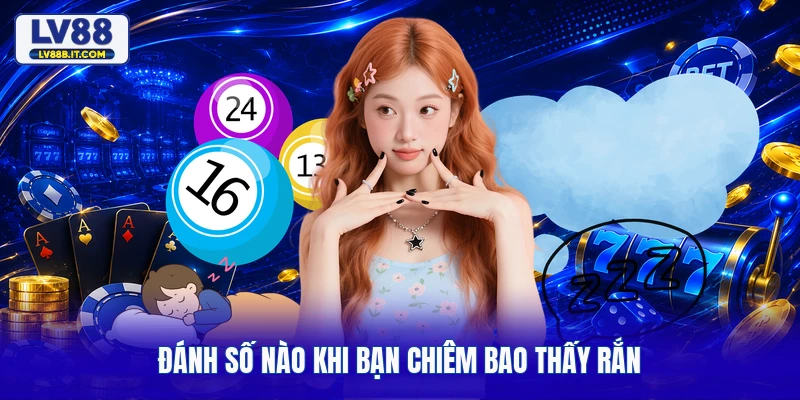 Đánh số nào khi bạn chiêm bao thấy rắn