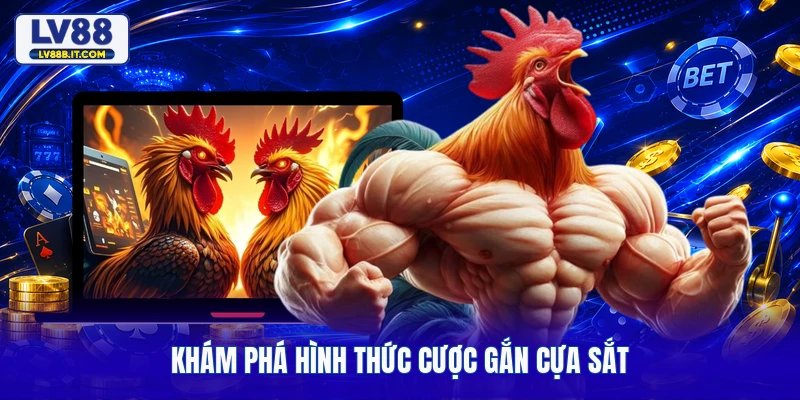 Khám phá hình thức cược gắn cựa sắt