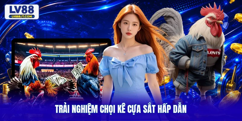 Trải nghiệm chọi kê cựa sắt hấp dẫn